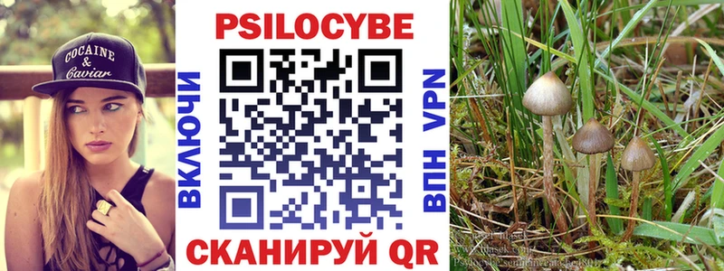 Псилоцибиновые грибы Psilocybe  Шарья 